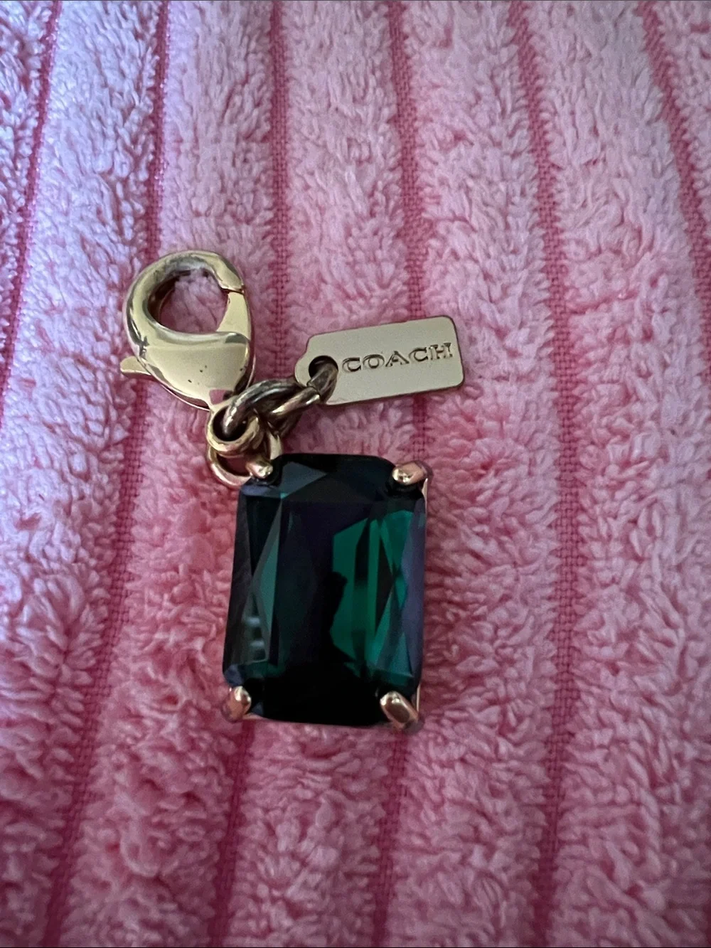 Coach x Wizard of Oz Emerald Charm